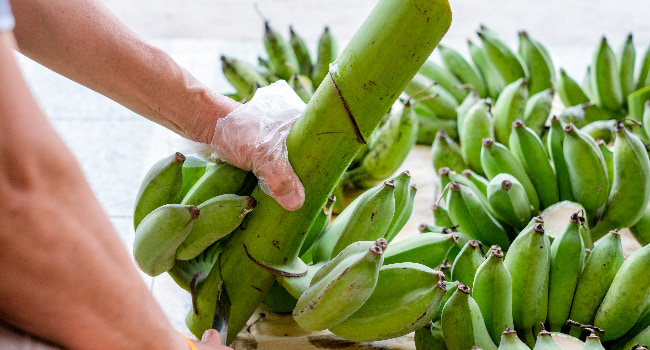 Bananas and Ethylene-Sensitive Produce Cleaning